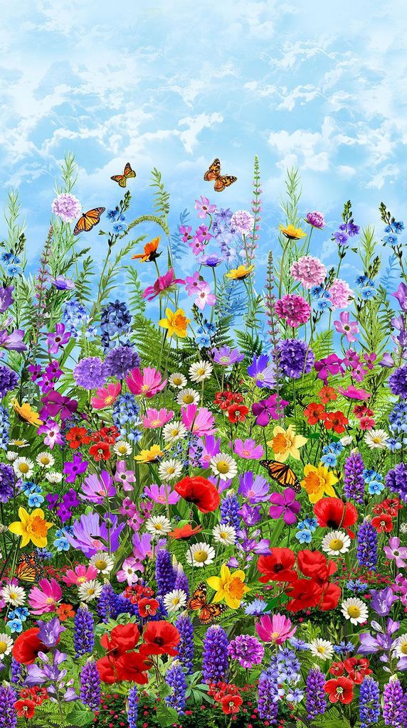 Timeless Treasures Panel CD2432 Multi