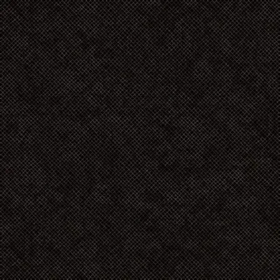 Benartex Whisper Weave Too Midnight 13610 12