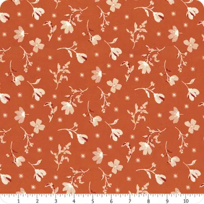 Riley Blake Morning Latte C16921 Spice