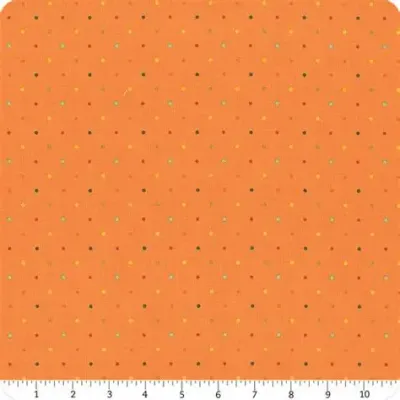 Riley Blake First Blooms C16329 Orange