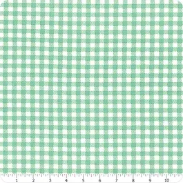 Riley Blake First Blooms C16328 Glacier