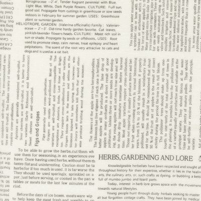 Moda Summers End 35433-11