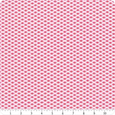 Tula Pink Lighthouse Windows PWTP273 Delphine