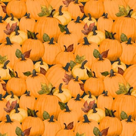 Wilmington Oh My Gourd 27746 987