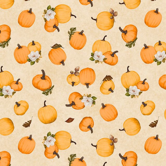 Wilmington Oh My Gourd 27747 282