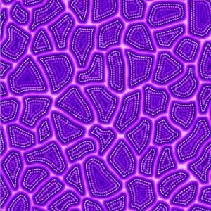 Oasis Purple Stepping Stones