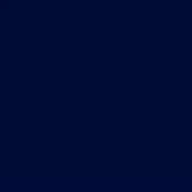 Bentarex Navy 3000B-55