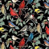 Wild Wings Birds &amp; Holly Black