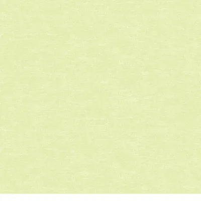 Benartex Cotton Shot Pearl White 9636P-09