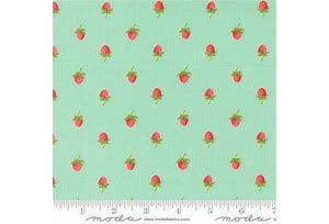 Moda Bloomsberry 55352 13
