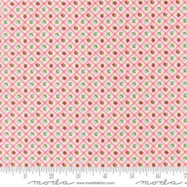 Moda Bloomsberry 55358 11