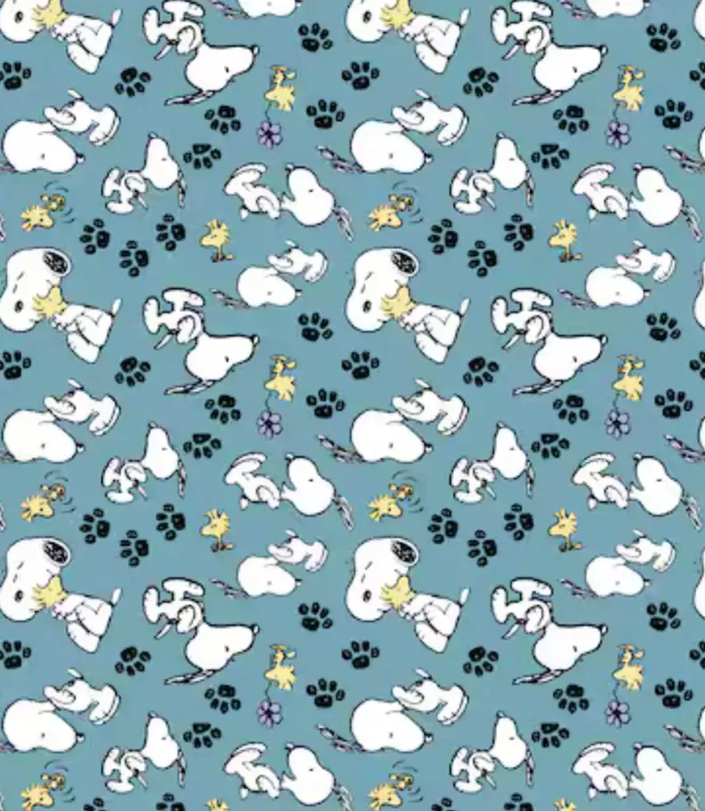 Snoopy And Woodstock Playing #69399