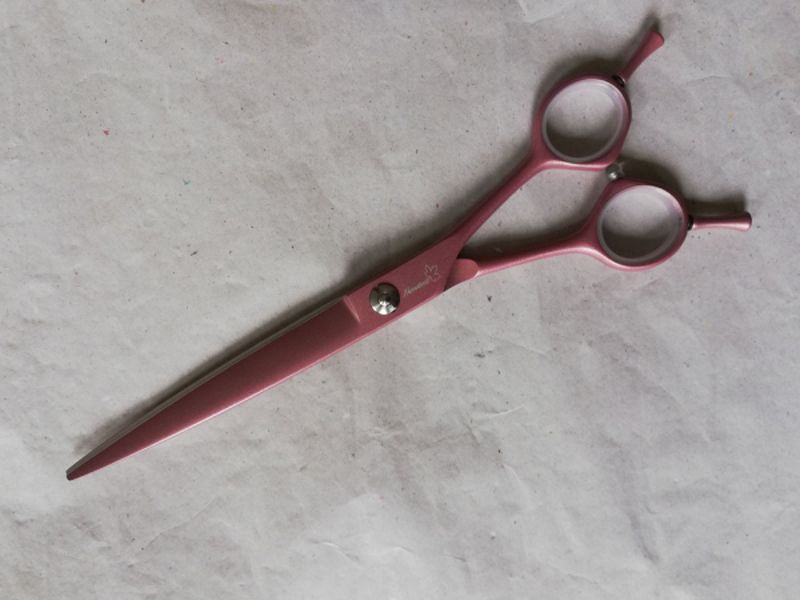Ahornstreet grooming scissors - 19 cm straight