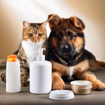 paw care products