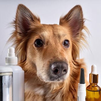 Ear Care