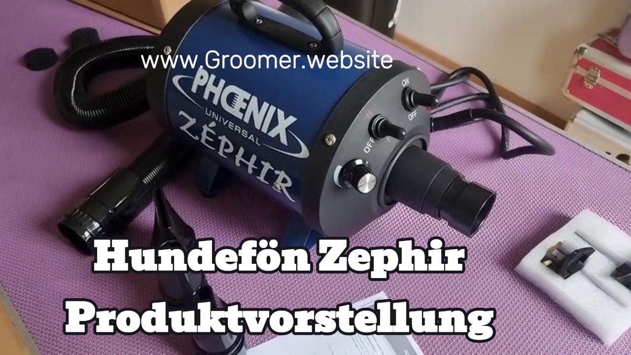 Phoenix Zephir dog dryer