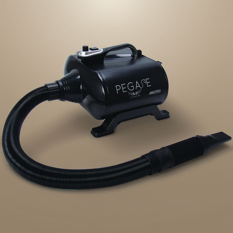 Powerful Maestro 3000W Pegase dog dryer for professional grooming