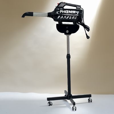 Dryer with stand