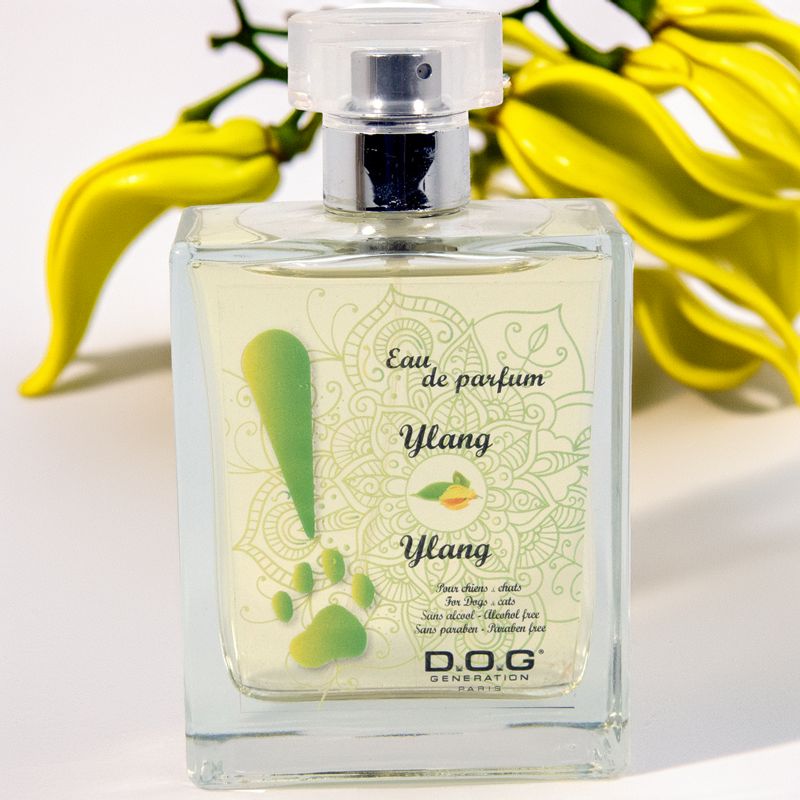 Perfume Ylang-Ylang Dog Generation