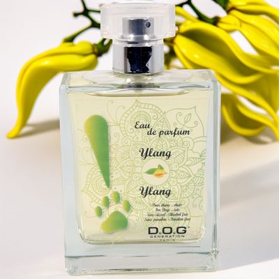 Perfume Ylang-Ylang Dog Generation