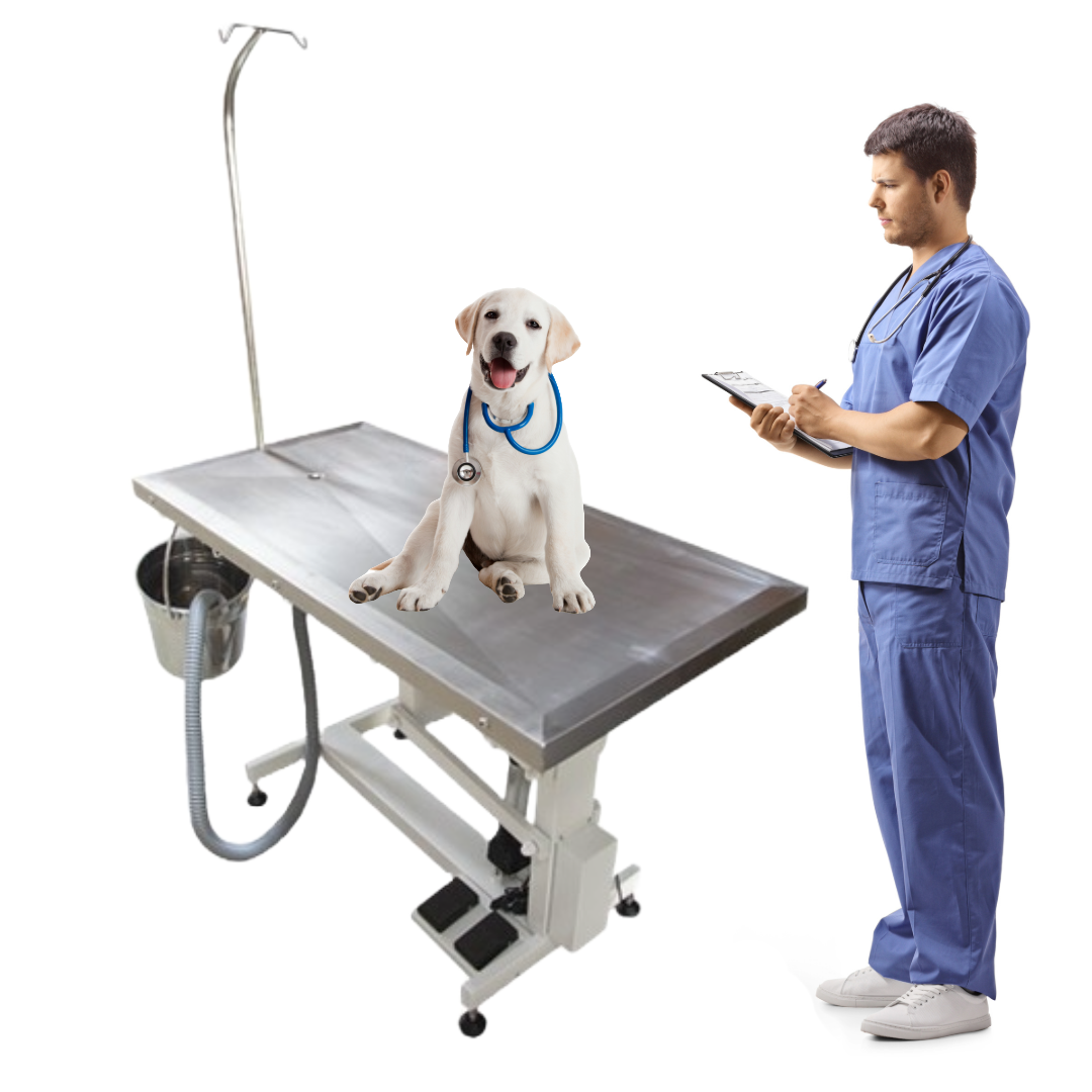 Electric Stainless Steel Operating Table 102 x 60 cm