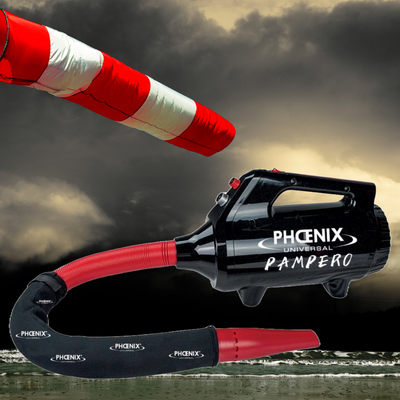 Phoenix Universal Pampero Dog Dryer 2200W