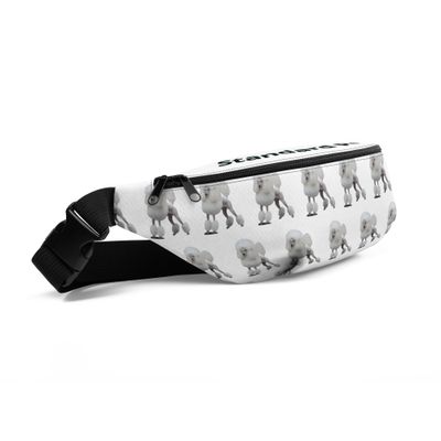 Bauchtasche