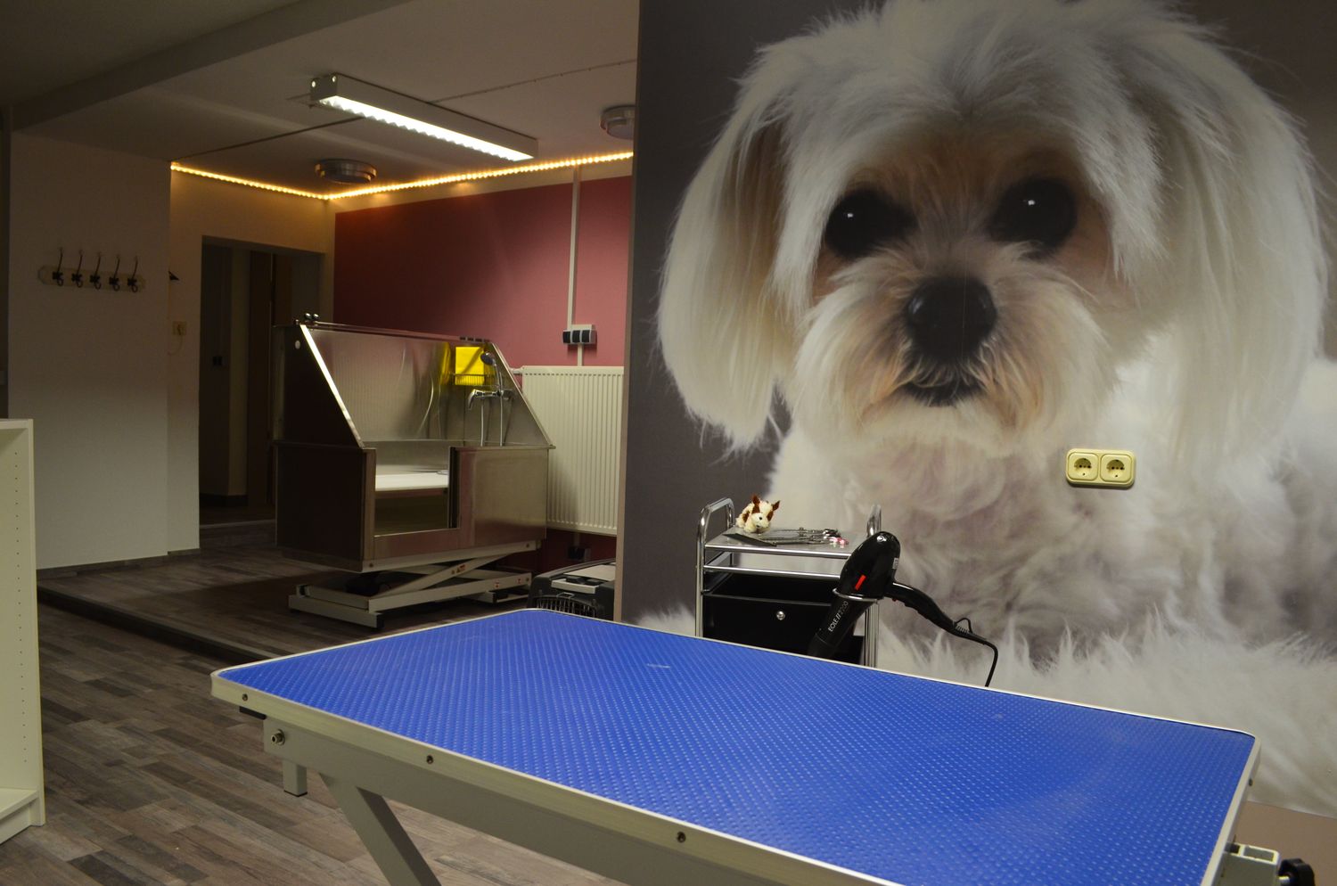 Fully Equipped Dog Grooming Bundle Standard