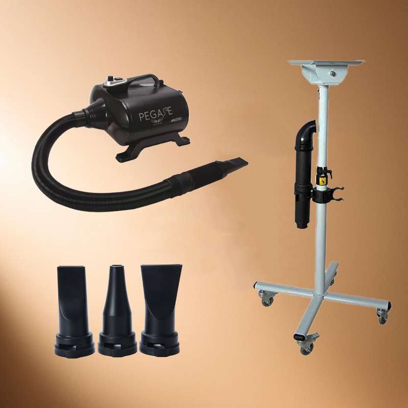 Maestro 3000W Pegase stand dryer with flexible hose and three nozzles