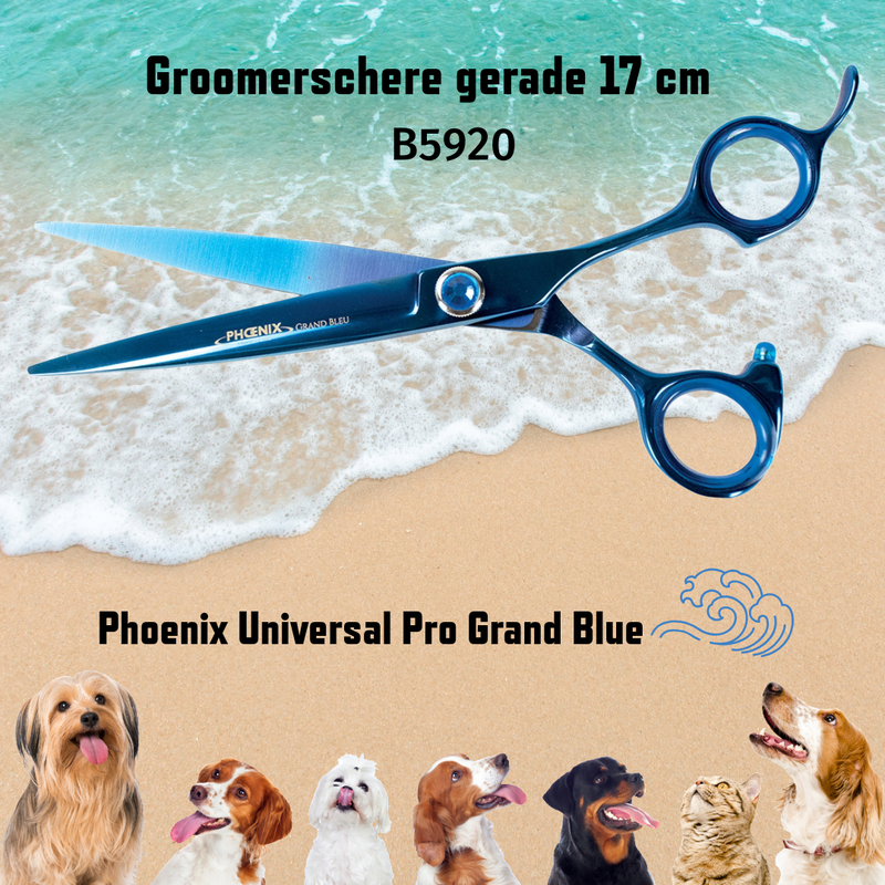 Phoenix Universal Grand Blue 17 cm straight scissors