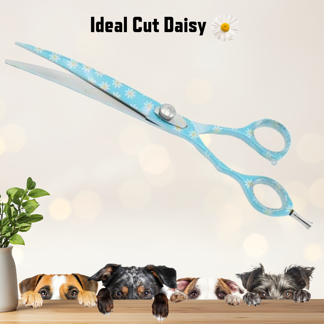 Elegant 19 cm Idealcut Daisy scissors with floral pattern