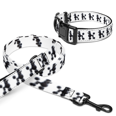 Stylish Poodle Collar and Leash for Your Furry Friend