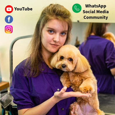 WhatsApp Social Media Community