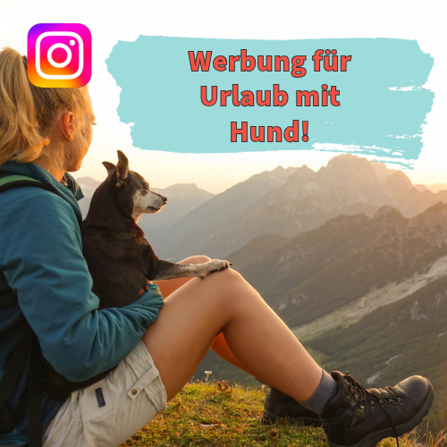 Promote your dog-related travel with 31K+ Followers