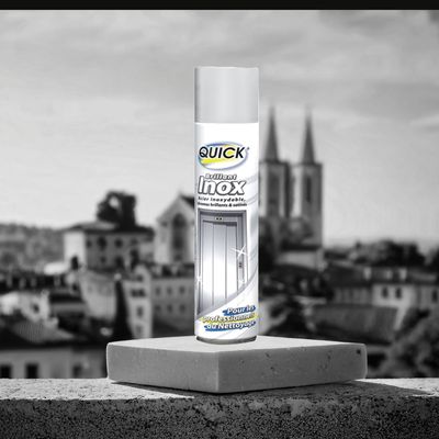 Stainless Steel Cleaning Spray QUICK INOX 500ml