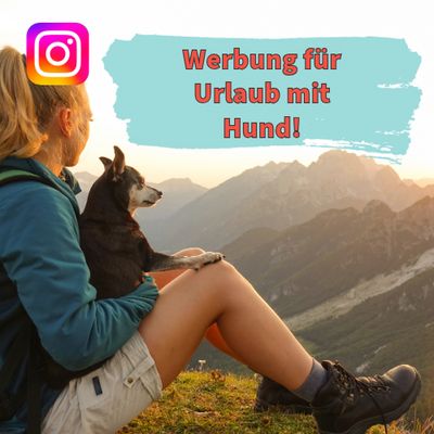 Promote your dog-related travel with 31K+ Followers Promote your dog-related travel with 31K+ Followers