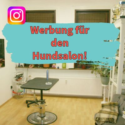 Advertising in the dog salon area Instagram post Advertising in the dog salon area Instagram post