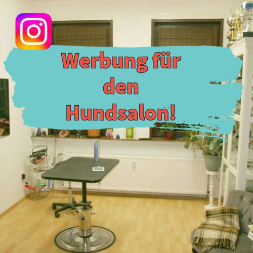 Advertising in the dog salon area Instagram post