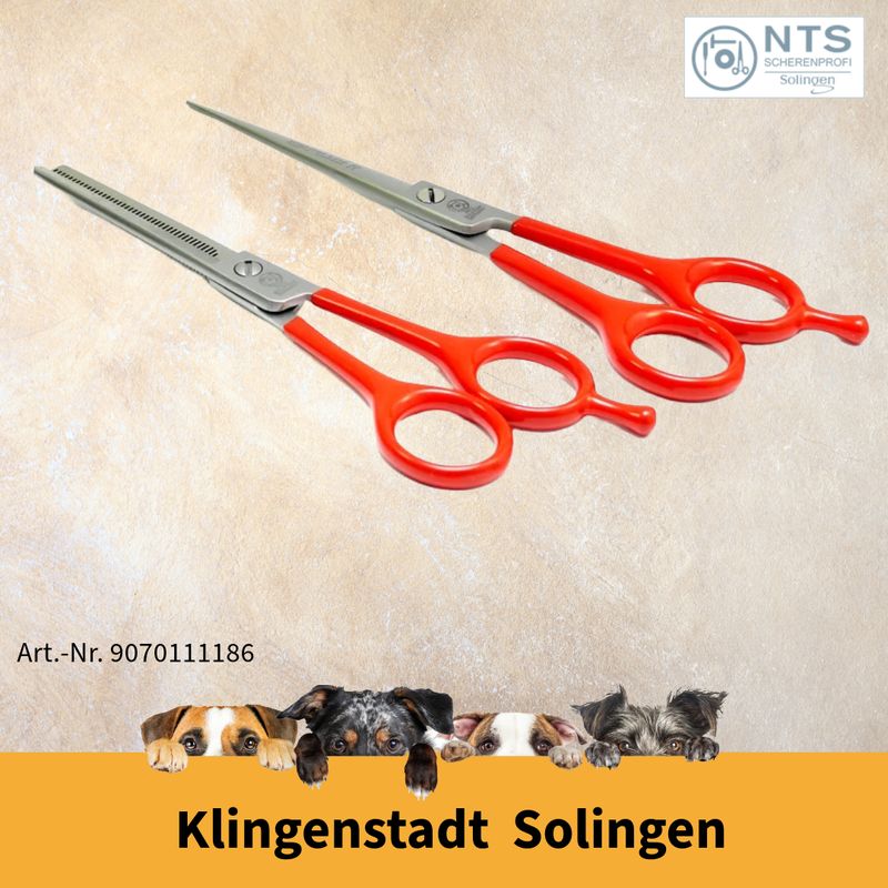 NTS Dog Grooming Scissors + Thinning Scissors SET
