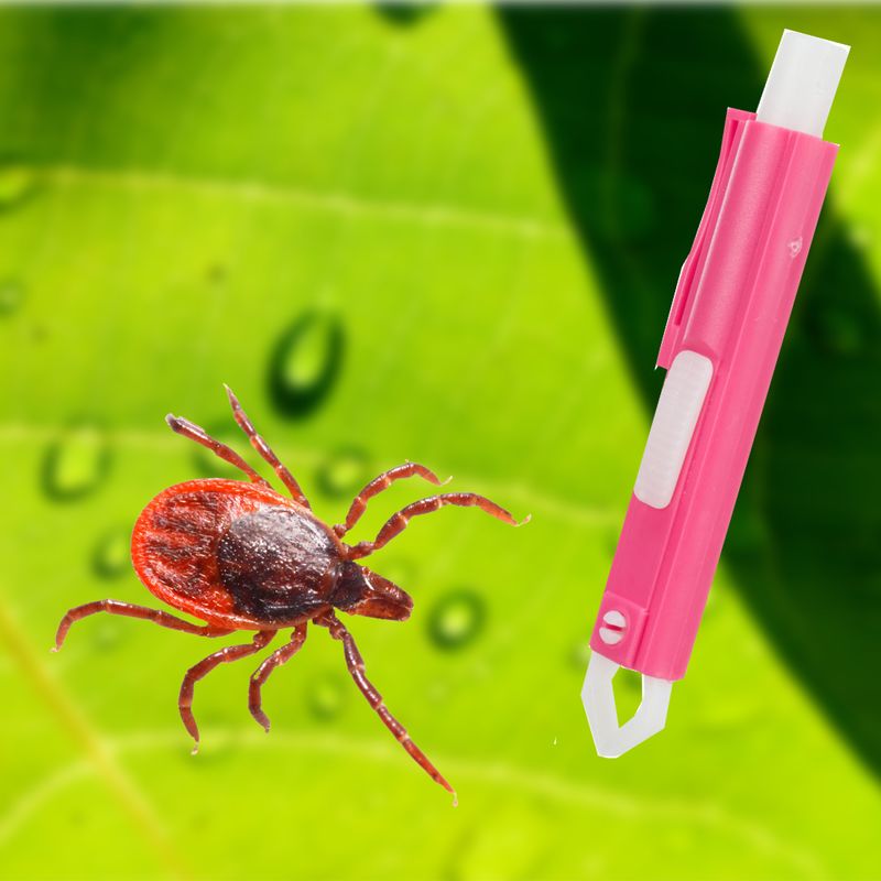 Tick Remover Tweezer