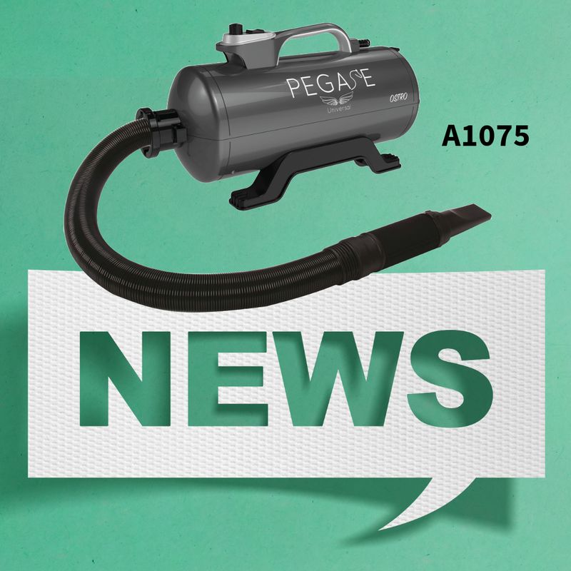 Ostro Pegase Universal – Powerful Dual Motor Dryer