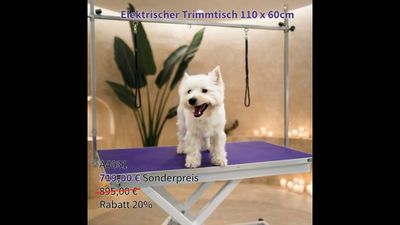 Electric Grooming Table 110 x 60 cm