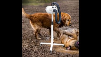 Phoenix Universal Zonda stand hair dryer