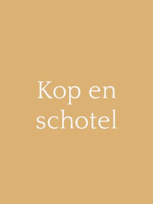 Kop en schotel