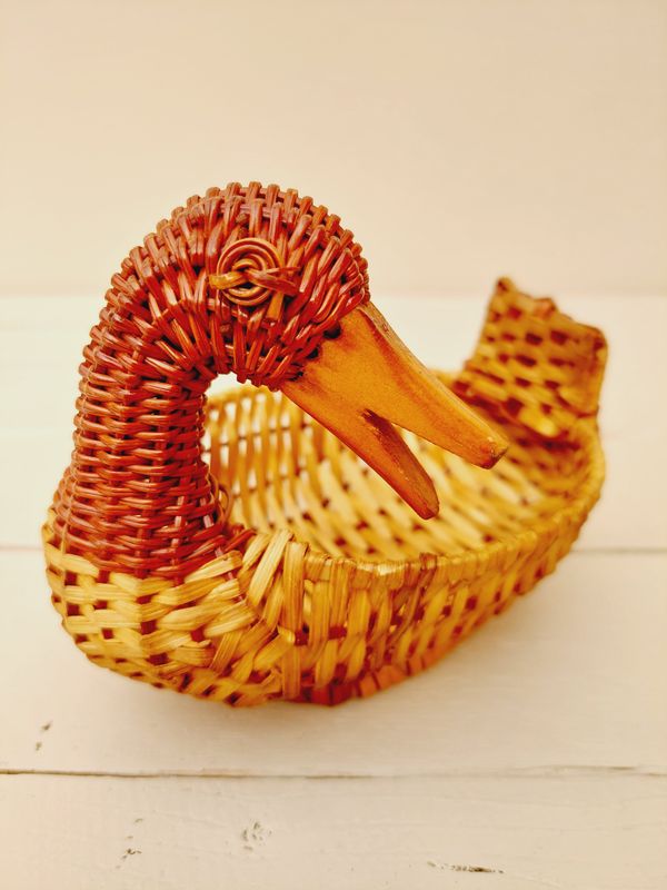 Eiermandje eend