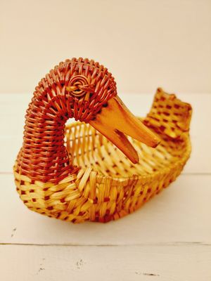 Eiermandje eend