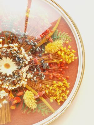 Vintage droogbloemenkader met bolglas en rood ophanglint – romantische muurdecoratie