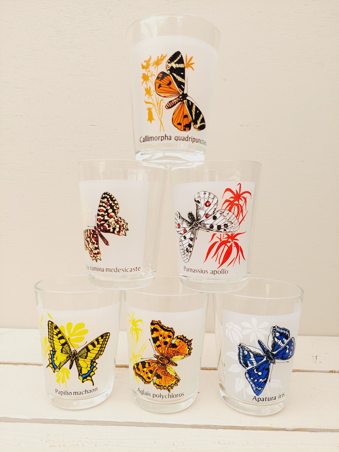 Retro drinkglazen Vlinders - set van 6