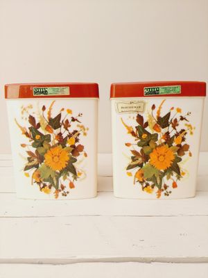 Voorraadpotten retro met bloemendecoratie, set van 2