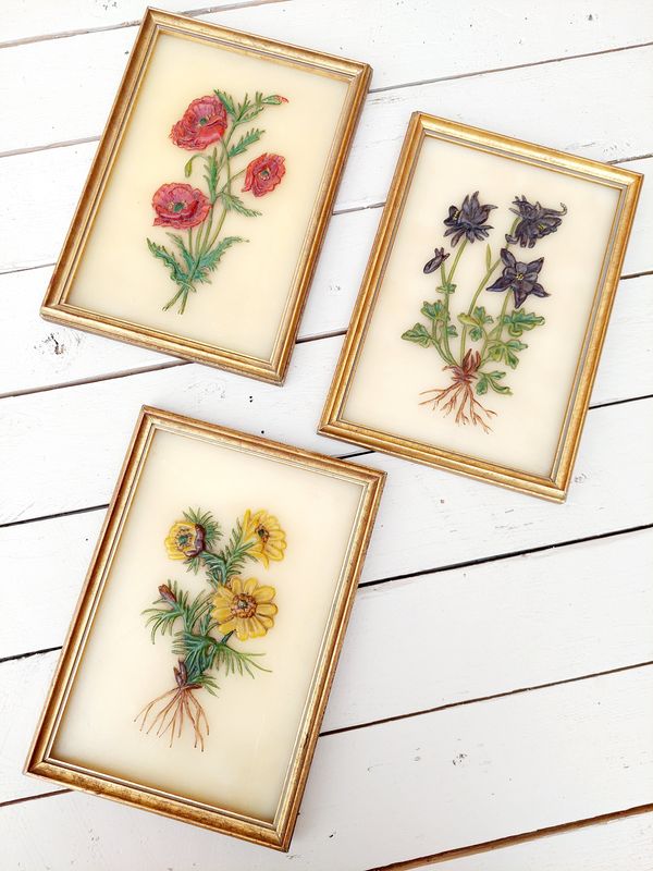 Waxkunst kunstwerkjes bloemen Adam Gies Fulda - ingekaderd - set van 3 - Zeldzaam!